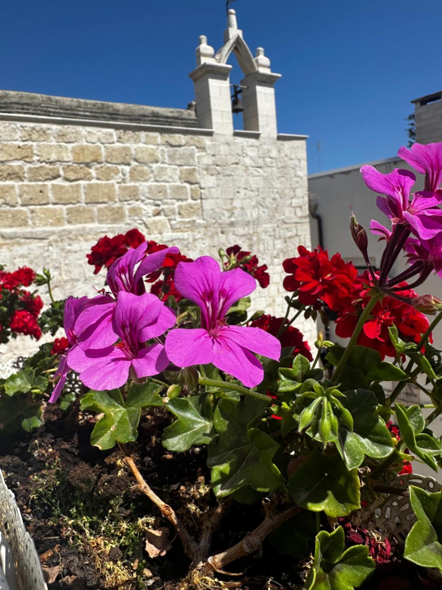 B&B Sigo Trani Kültér fotó